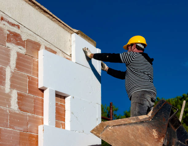 Best Insulation Maintenance and Repair in Dryden, MI