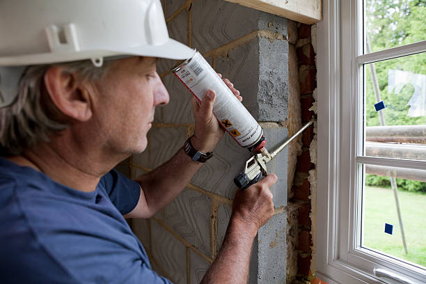 Best Residential Insulation in Dryden, MI