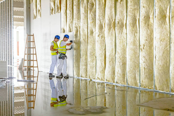  Dryden, MI Insulation Contractor Pros